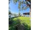 Green grassy backyard with a large shade tree at 289 Monte Cristo Blvd, St Petersburg, FL 33715