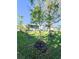 Backyard with young trees and grassy lawn at 289 Monte Cristo Blvd, St Petersburg, FL 33715