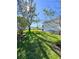 Backyard with mature tree and grassy lawn at 289 Monte Cristo Blvd, St Petersburg, FL 33715