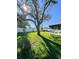 Sunny backyard with large tree and grassy area at 289 Monte Cristo Blvd, St Petersburg, FL 33715