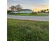 Landscaped backyard with a view of the surrounding area at 289 Monte Cristo Blvd, St Petersburg, FL 33715