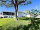 Large backyard with mature tree and grassy area at 289 Monte Cristo Blvd, St Petersburg, FL 33715