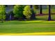 Green golf course with trees and flag in the distance at 3340 Mcmath Dr, Palm Harbor, FL 34684