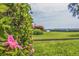Lush landscaping with pink hibiscus flowers and a view of the water at 6104 Palma Del Mar S Blvd # 404, St Petersburg, FL 33715