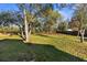 Large backyard with mature trees and grassy lawn at 12332 Harris Hawk Rd, Weeki Wachee, FL 34614