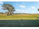 Landscaped backyard with grassy area and mature trees at 1312 Leland Dr # 61, Sun City Center, FL 33573