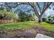 Large backyard with lush grass and a large oak tree at 1879 Nuthatch Way, Palm Harbor, FL 34683