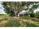 Charming house with a large tree, a swing, and a well-maintained lawn at 2883 16Th Ave N, St Petersburg, FL 33713