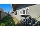 A side yard with a green hedge and a bay window is shown at 31 Leeward Is, Clearwater Beach, FL 33767