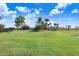 Landscaped backyard with lush grass and palm trees at 3278 Woodland Brook Way, Wesley Chapel, FL 33543
