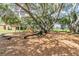 playground nestled under large shade trees at 12816 Buffalo Run Dr, Gibsonton, FL 33534