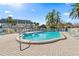 Relaxing kidney-shaped pool with plenty of lounge chairs at 1401 Cordova Grn, Seminole, FL 33777