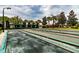 Well-maintained bocce ball courts at 15731 Crystal Waters Dr, Wimauma, FL 33598