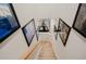 Elegant staircase with framed artwork adorning the walls, leading upstairs at 1655 Canopy Oaks Blvd, Palm Harbor, FL 34683