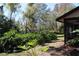 Lush backyard with mature plantings at 2912 Star Apple Ct, Palm Harbor, FL 34684