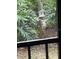 Deer in the backyard near the greenery at 2912 Star Apple Ct, Palm Harbor, FL 34684