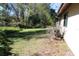 Large backyard with lush green grass and mature trees at 2912 Star Apple Ct, Palm Harbor, FL 34684