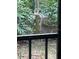 Deer in the backyard near the greenery at 2912 Star Apple Ct, Palm Harbor, FL 34684