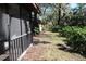 Landscaped backyard with a path and tropical plants at 2912 Star Apple Ct, Palm Harbor, FL 34684