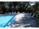 Community pool with lounge chairs and patio tables at 2912 Star Apple Ct, Palm Harbor, FL 34684