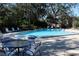 Community pool with patio furniture and trees at 2912 Star Apple Ct, Palm Harbor, FL 34684