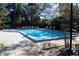 Refreshing community pool with lounge chairs at 2912 Star Apple Ct, Palm Harbor, FL 34684