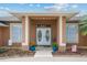 Double-door entry with a stained-glass design and potted plants at 29242 Caddyshack Ln, San Antonio, FL 33576