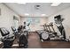 Cardio and strength training equipment available at 2932 Tanglewylde Dr, Land O Lakes, FL 34638