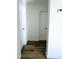 Clean hallway with light walls and wood-look flooring at 419 40Th S Ave, St Petersburg, FL 33705