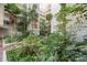 Ground level view of a tropical garden with walkways and building exterior at 500 N Osceola Ave # 406, Clearwater, FL 33755