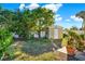 Backyard with storage shed and tropical landscaping at 7001 Jackson Springs Road, Tampa, FL 33634