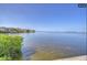 Peaceful waterfront view with calm water and lush greenery at 8818 Bay Pointe Dr # 208, Tampa, FL 33615