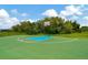 Outdoor basketball court with blue key at 16340 Treasure Point Dr, Wimauma, FL 33598