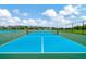 Two well-maintained blue pickleball courts at 16340 Treasure Point Dr, Wimauma, FL 33598