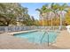Inviting community pool with plenty of lounge chairs at 3117 Bayshore Oaks Dr, Tampa, FL 33611