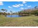Peaceful lakefront view with lush landscaping and beautiful homes at 3621 Darston St, Palm Harbor, FL 34685