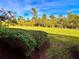 Landscaped backyard with lush greenery at 10059 Crooked Creek Dr # 102, Venice, FL 34293