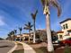 Beautiful community with palm trees and well-maintained homes at 10059 Crooked Creek Dr # 102, Venice, FL 34293
