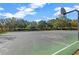 Outdoor basketball court with green surface at 10814 Newbridge Dr, Riverview, FL 33579