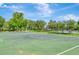 Two outdoor basketball courts at 10814 Newbridge Dr, Riverview, FL 33579
