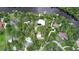 Aerial view of a neighborhood with lush landscaping and multiple houses at 11554 Monette Rd, Riverview, FL 33569
