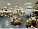 Large workshop with multiple taxidermied animals at 11554 Monette Rd, Riverview, FL 33569