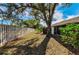 Backyard with large oak tree and wood fence at 1725 Pine Ridge E Way # E, Palm Harbor, FL 34684