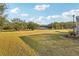 Large grassy backyard with trees at 18520 Oak Way Dr, Hudson, FL 34667