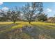 Large backyard with mature trees at 18520 Oak Way Dr, Hudson, FL 34667