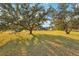 Expansive backyard with shade trees at 18520 Oak Way Dr, Hudson, FL 34667
