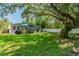 Green grassy backyard with a deck and mature tree providing shade at 2926 W Alline Ave, Tampa, FL 33611