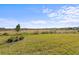 Spacious backyard with grassy area and distant homes at 5672 Bay Tide Ct, Land O Lakes, FL 34638