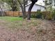 Large backyard with mature trees at 10103 N Lantana Ave, Tampa, FL 33612