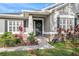 Gray house with black front door, shutters, and manicured landscaping at 11911 Mandevilla Ct, Tampa, FL 33626